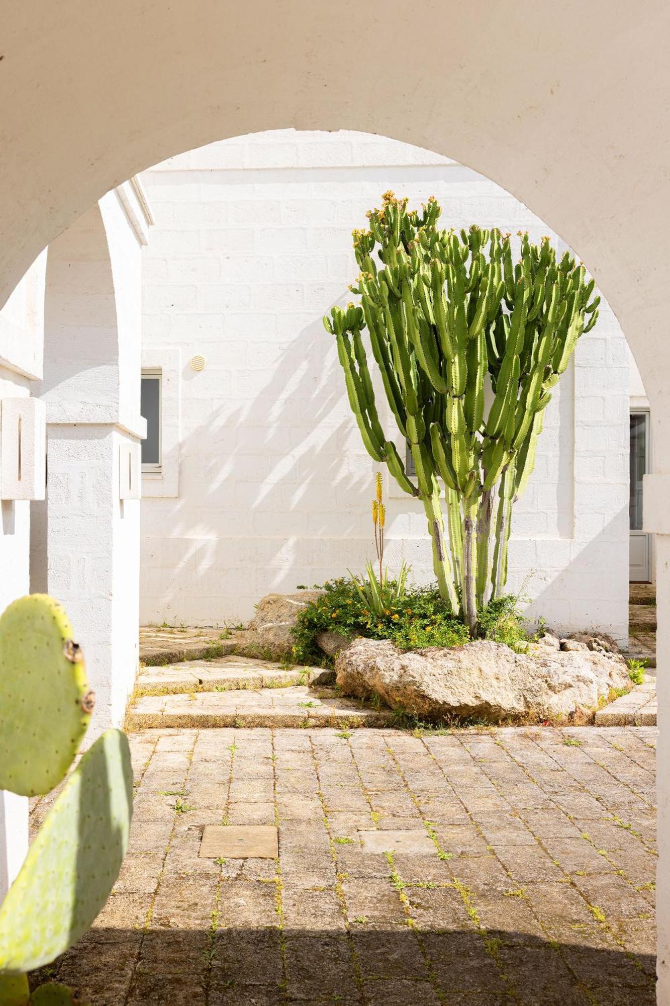 Masseria San Francesco Savelletri Buitenkant foto